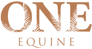 One Equine @ Taman Equine Park